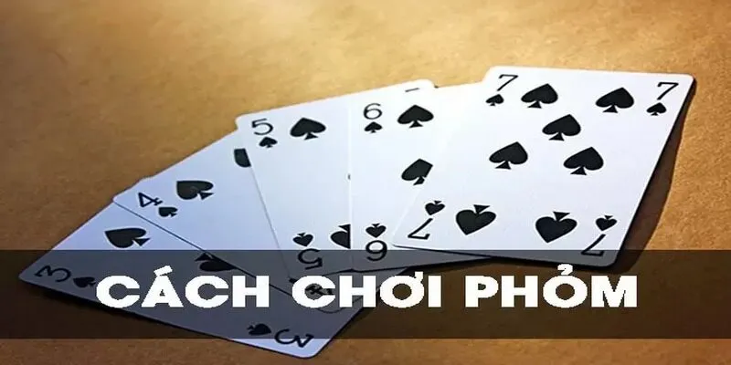 Kiến thức tân thủ cần biết khi đánh Phỏm