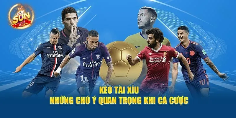 Bật Mí Kinh Nghiệm Soi Kèo Tài Xỉu 2 2.5 Là Gì Cùng Sunwin